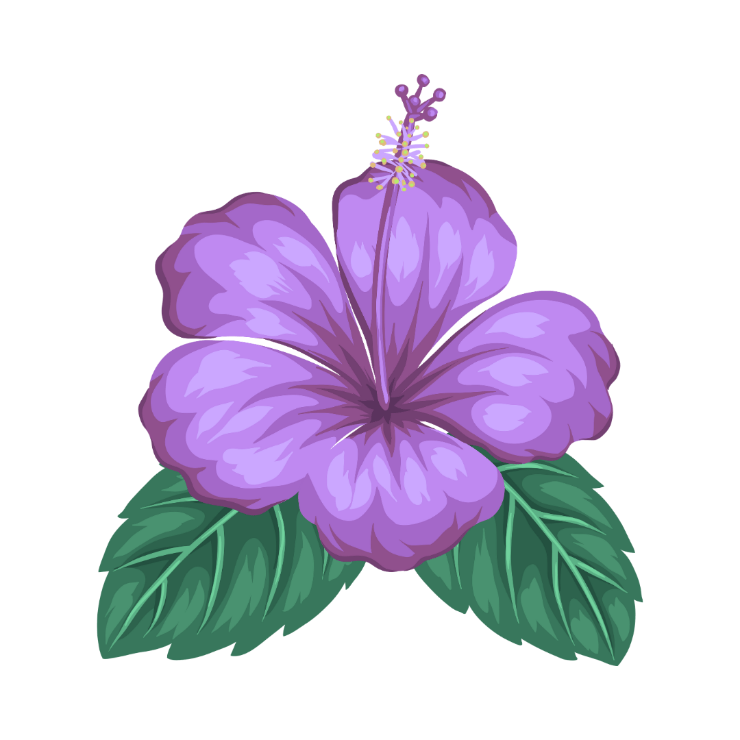 Hibiskusblume1