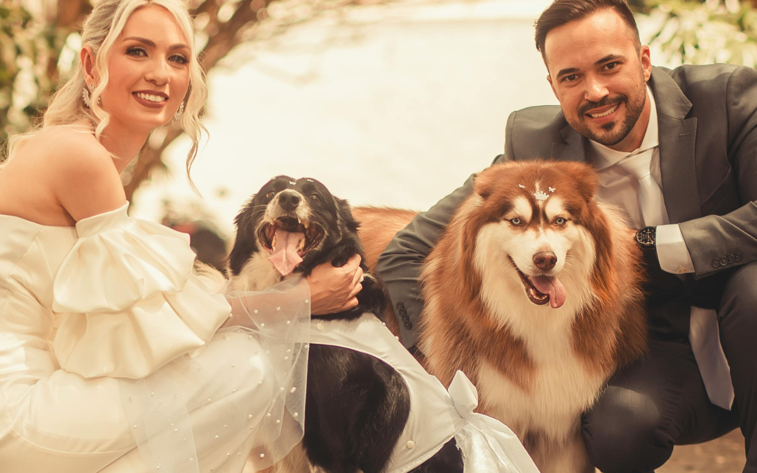 Freie Trauung mit Hund – So wird euer Vierbeiner Teil eurer Hochzeit | Hamburg
