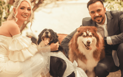 Freie Trauung mit Hund – So wird euer Vierbeiner Teil eurer Hochzeit | Hamburg