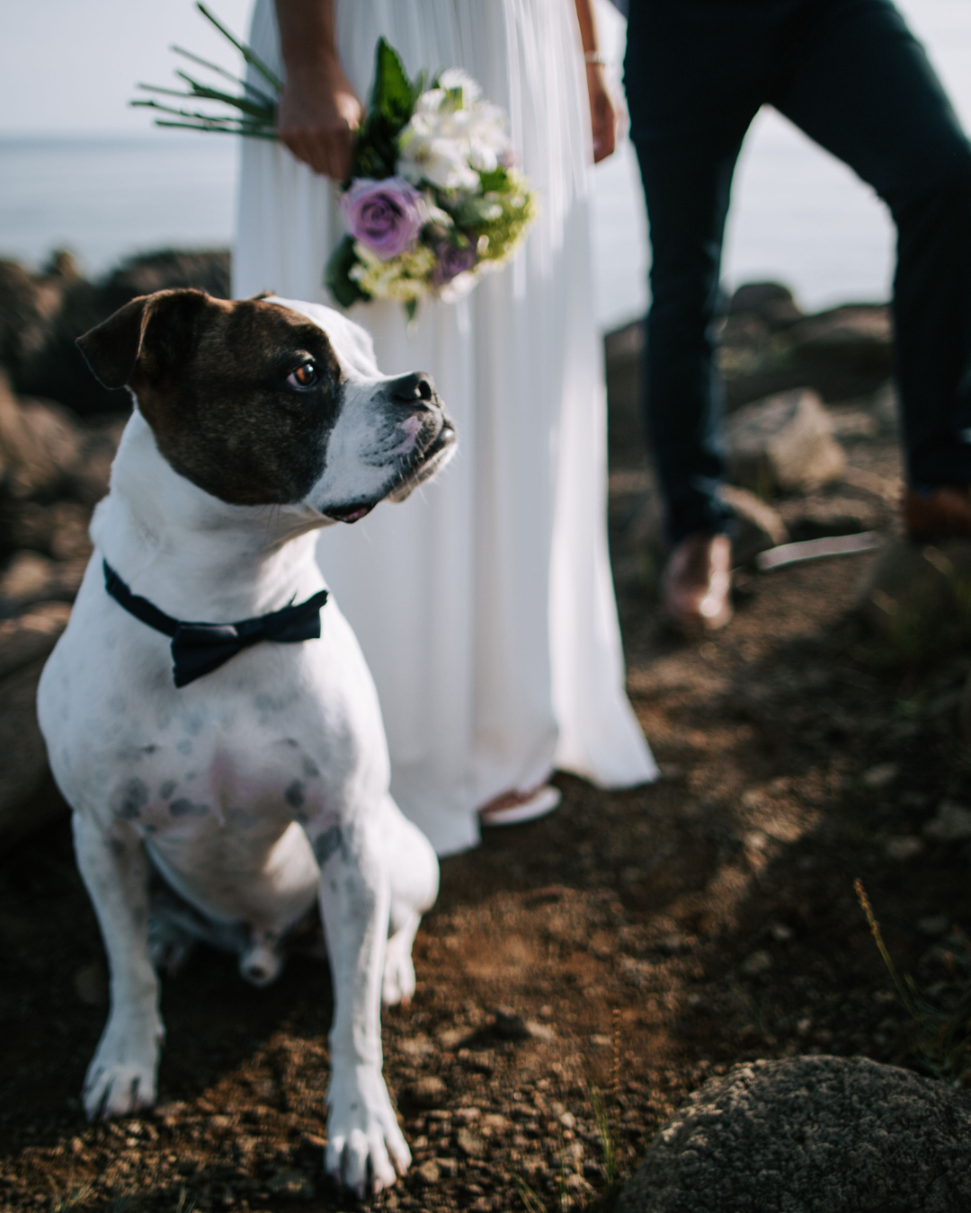 Strahlendes Brautpaar nach der freien Zeremonie, umgeben von applaudierenden Gästen – ein Ausdruck dafür, wie man sich bei der Trauung wohlfühlen kann